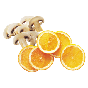 Robot Coupe Slicer 3mm for Essential Machines