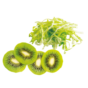 Robot Coupe Slicer 5mm for Essential Machines