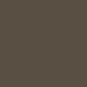 Vallejo Model Air Color Colour US Light Grey Gray 71045