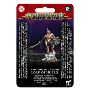 Vanguard Hedonites of Slaanesh Lord of Hubris 83-96 Age of Sigmar Warhammer