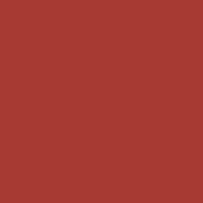 Vallejo Model Air Color Colour Red 71269