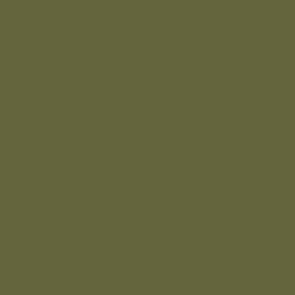 Vallejo Model Air A-19F Grass Green 71411