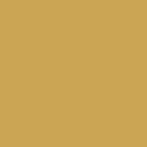 Vallejo Model Air No 7 Earth Yellow 71420